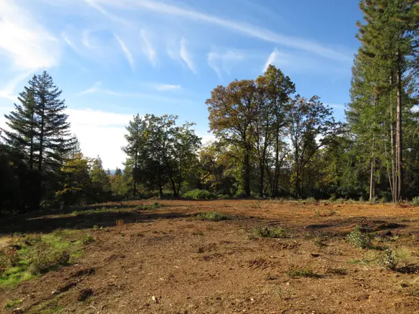 0 Steamers Ravine Road, Colfax, CA 95713