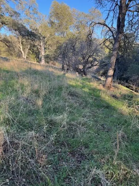 3900 Cold Stream Road, Auburn, CA 95602 - Image #3