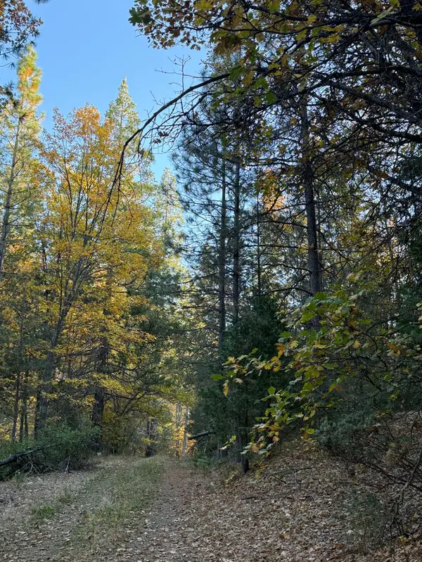 0 Ernst Rd, Coulterville, CA 95311