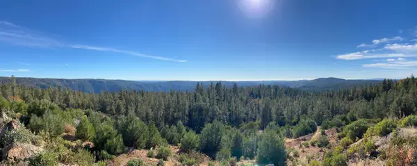 31180 Knob Cone Road, Gold Run, CA 95717