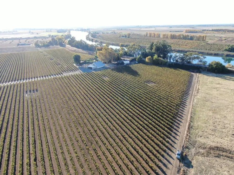 15461 Isleton Road, Isleton, CA 95641 - Image #3