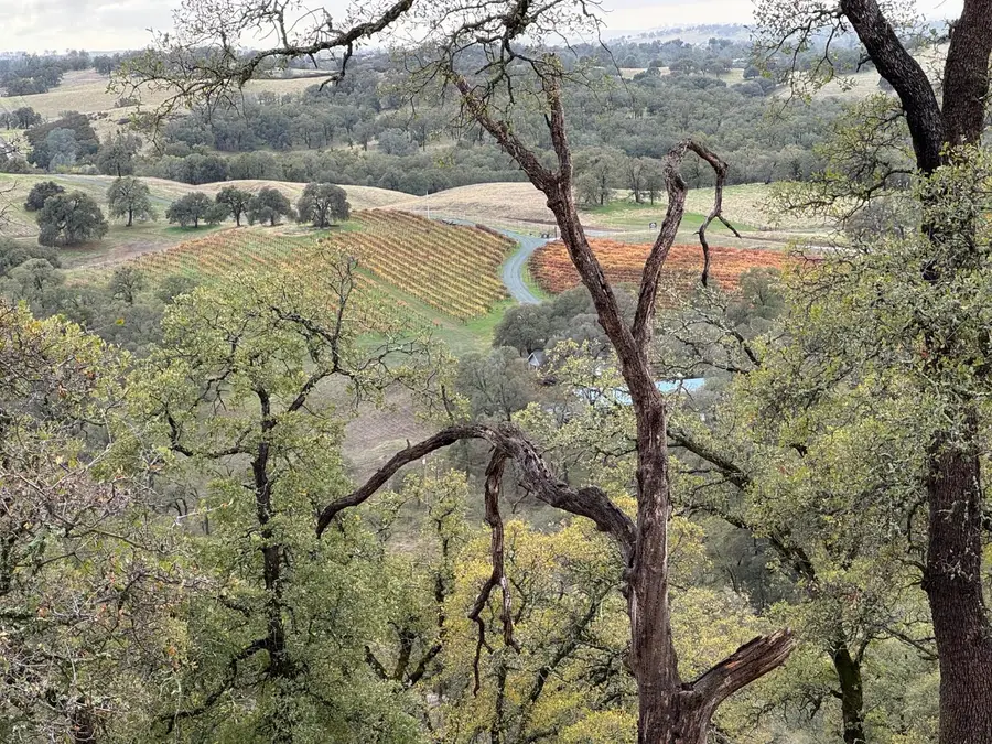 0 Vaira Ranch, Drytown, CA 95699 - Image #3