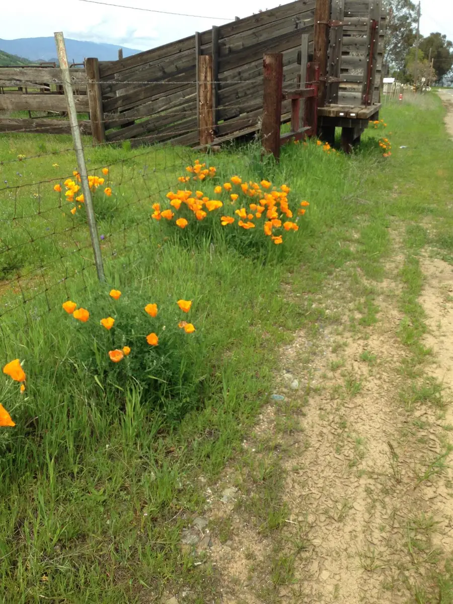 0 County Road 306, Elk Creek, CA 95939 - Image #2