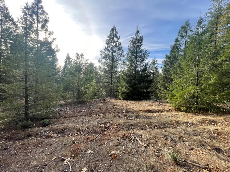 16605 Buckeye Road, Nevada City, CA 95959 - Image #2