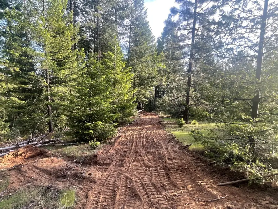 16605 Buckeye Road, Nevada City, CA 95959 - Image #3