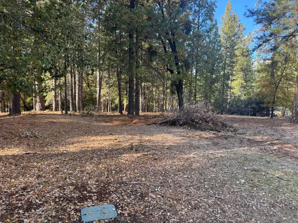 6364 Green Leaf Lane, Foresthill, CA 95631