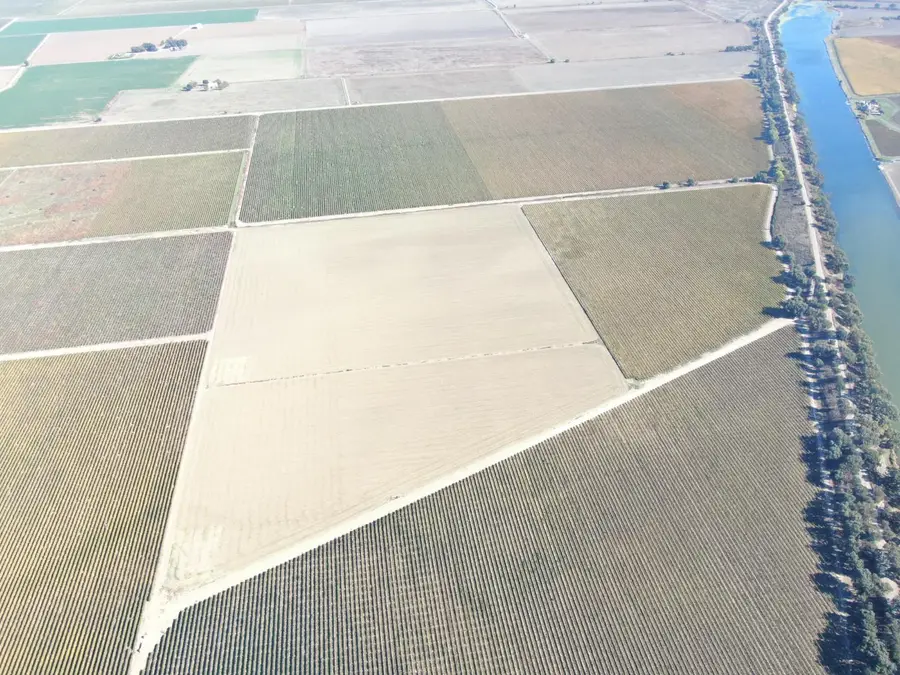 50725 Babel Slough Rd, Clarksburg, CA 95612 - Image #3