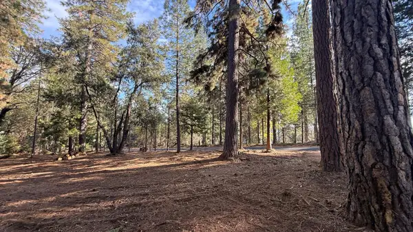 19045 Pine Drive, Pioneer, CA 95666