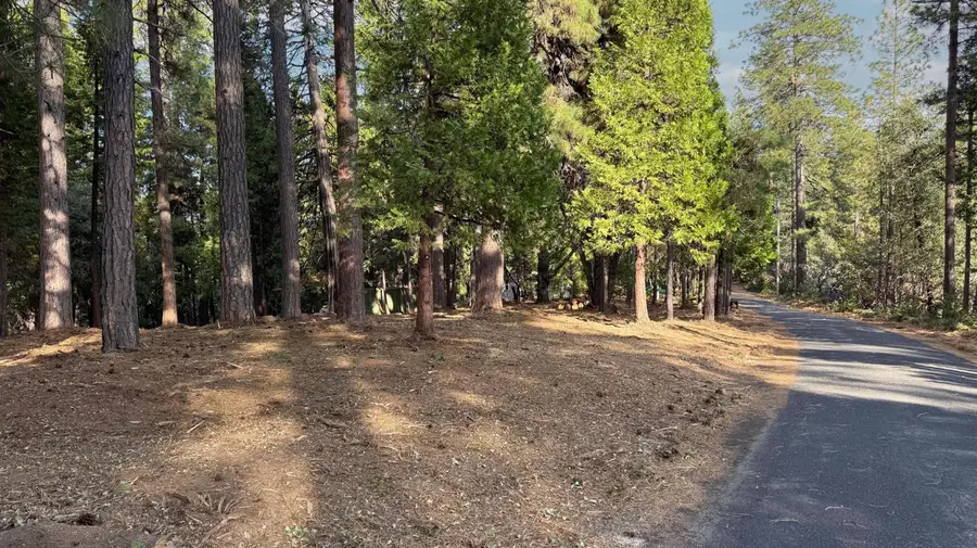 19045 Pine Drive, Pioneer, CA 95666 - Image #2