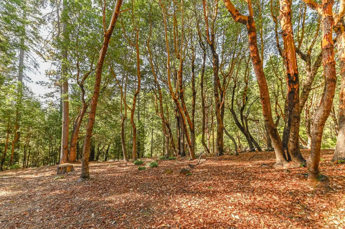 26909 Antelope Drive, Pioneer, CA 95666 - Image #1