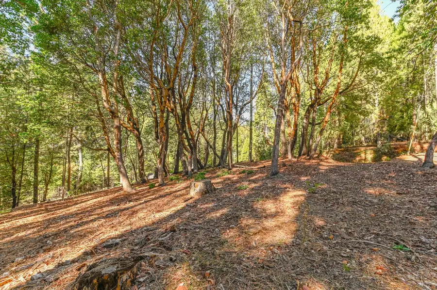 26909 Antelope Drive, Pioneer, CA 95666 - Image #3