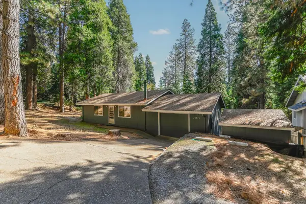 26974 Jacqueline Drive, Pioneer, CA 95666