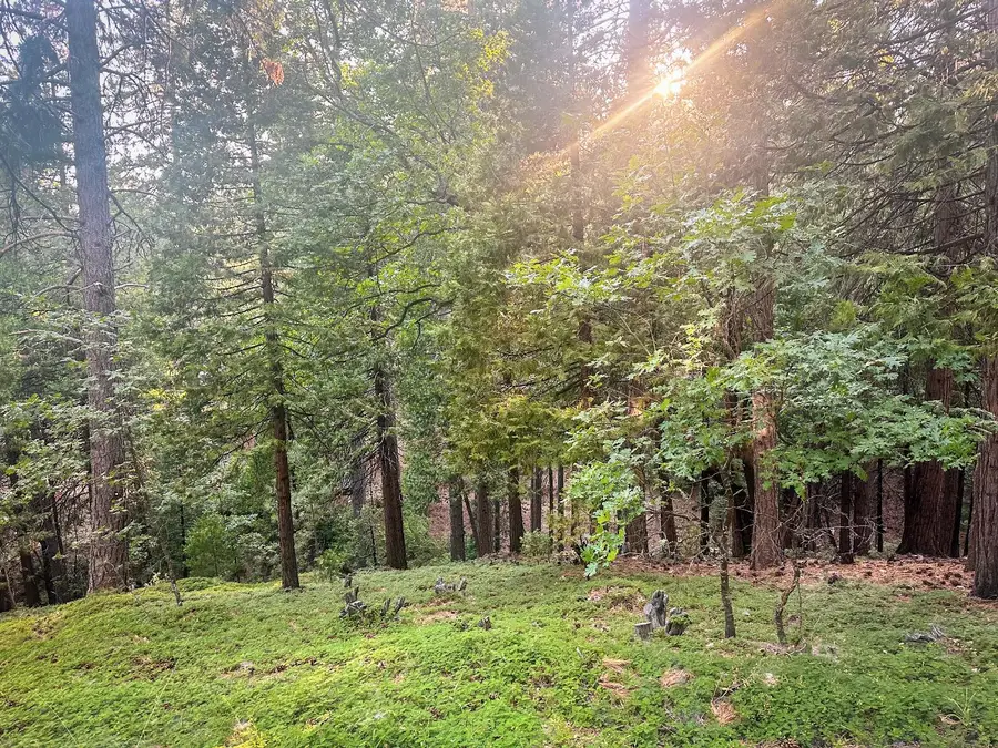 1800 Kit Carson Circle, Arnold, CA 95223 - Image #2