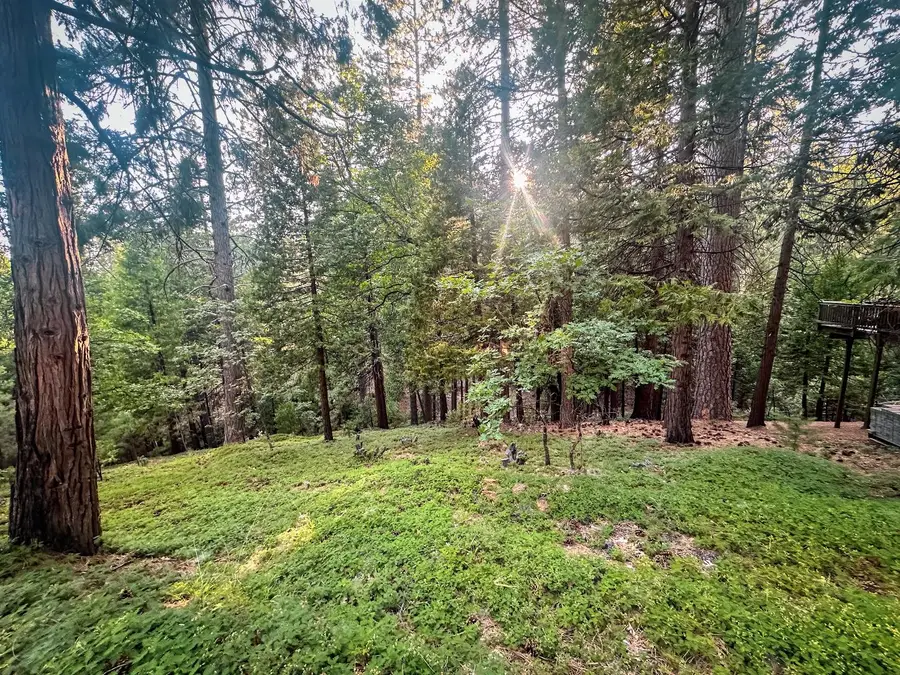 1800 Kit Carson Circle, Arnold, CA 95223 - Image #3