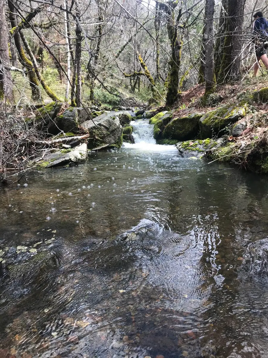 18488 Ponderosa Annex Road, Sutter Creek, CA 95685 - Image #3