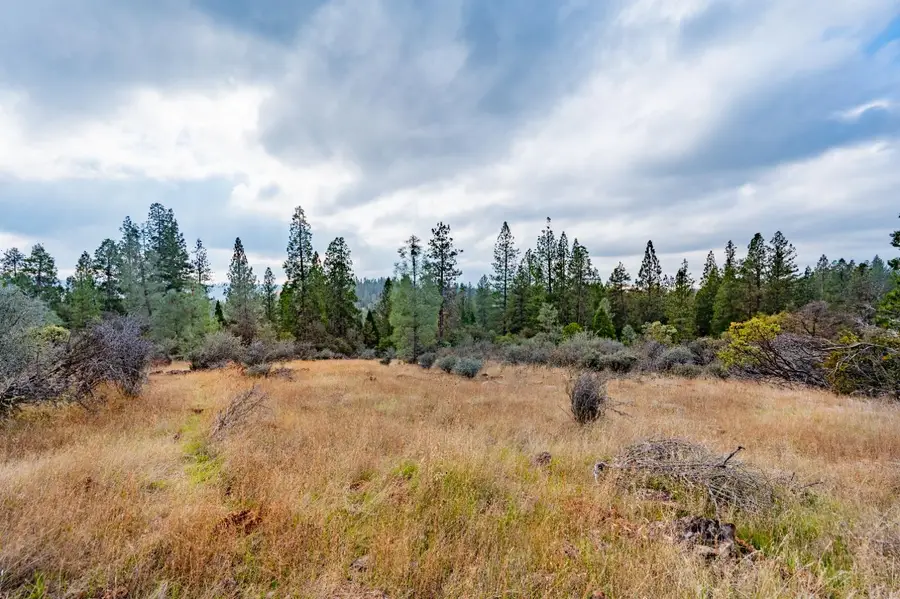 12137 Newtown Road, Nevada City, CA 95959 - Image #2