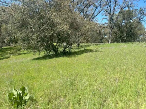 4600 Summer Creek Court, Shingle Springs, CA 95682