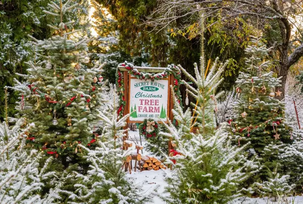 2740 Mace Road, Camino, CA 95709