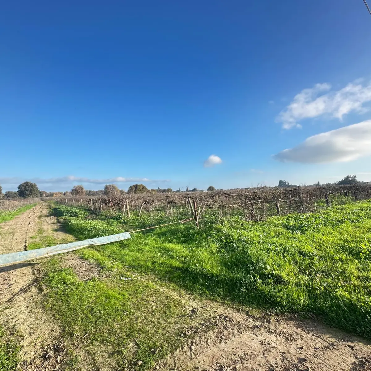 27350 Thornton Road, Thornton, CA 95686 - Image #1