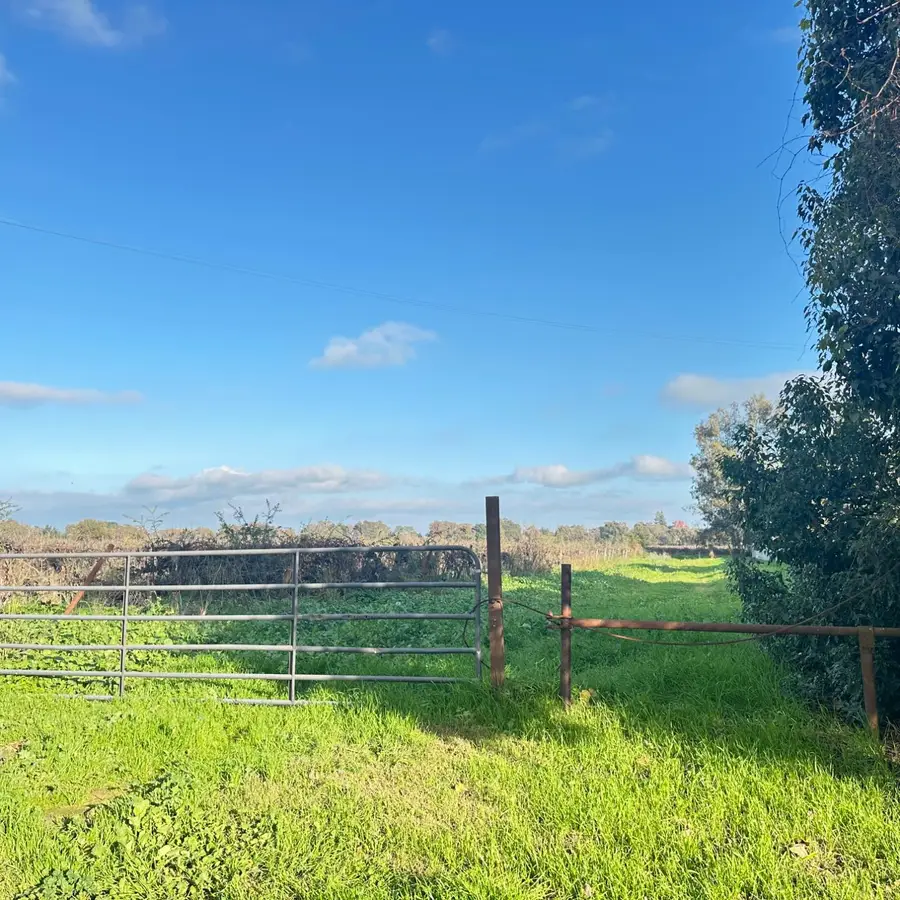 27350 Thornton Road, Thornton, CA 95686 - Image #2