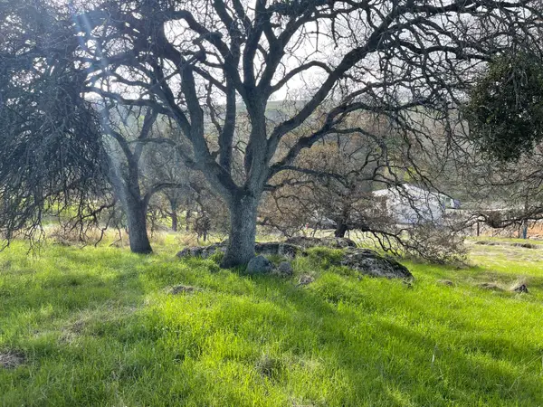 2672 Zelma Way, La Grange, CA 95329