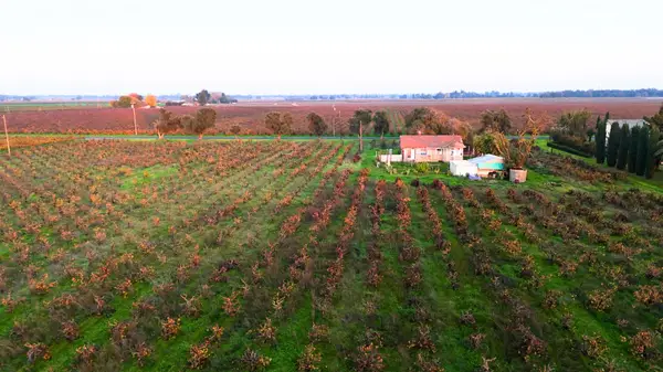 19217 N Devries Road, Lodi, CA 95242