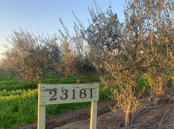 23181 N Devries Road, Lodi, CA 95242