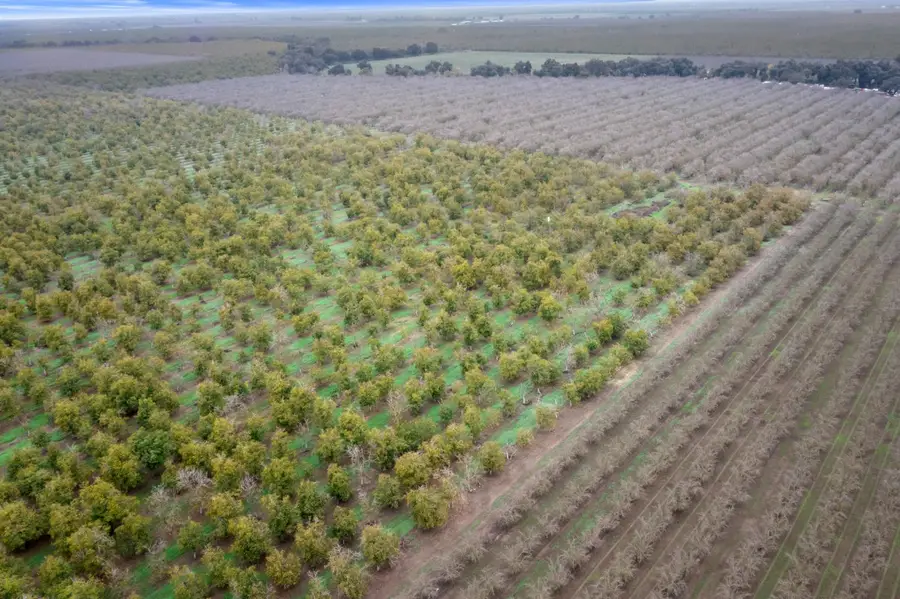 5913 S Van Allen Road, Stockton, CA 95215 - Image #3