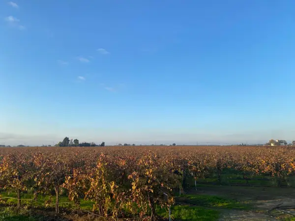 2060 W Woodbridge Road, Lodi, CA 95242