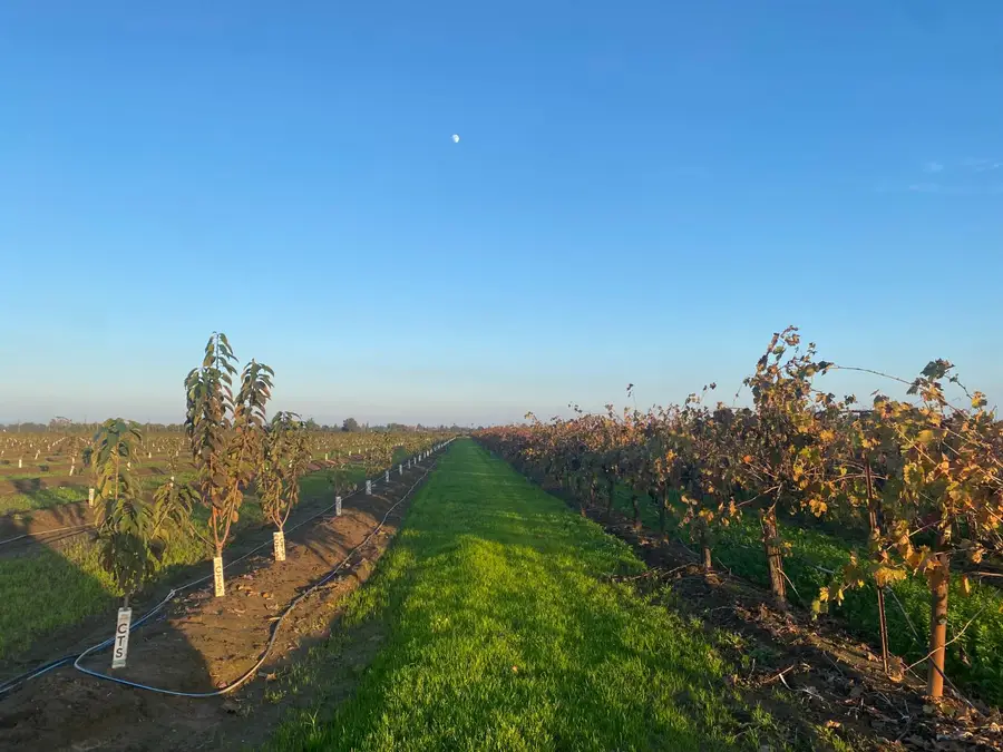 2060 W Woodbridge Road, Lodi, CA 95242 - Image #2