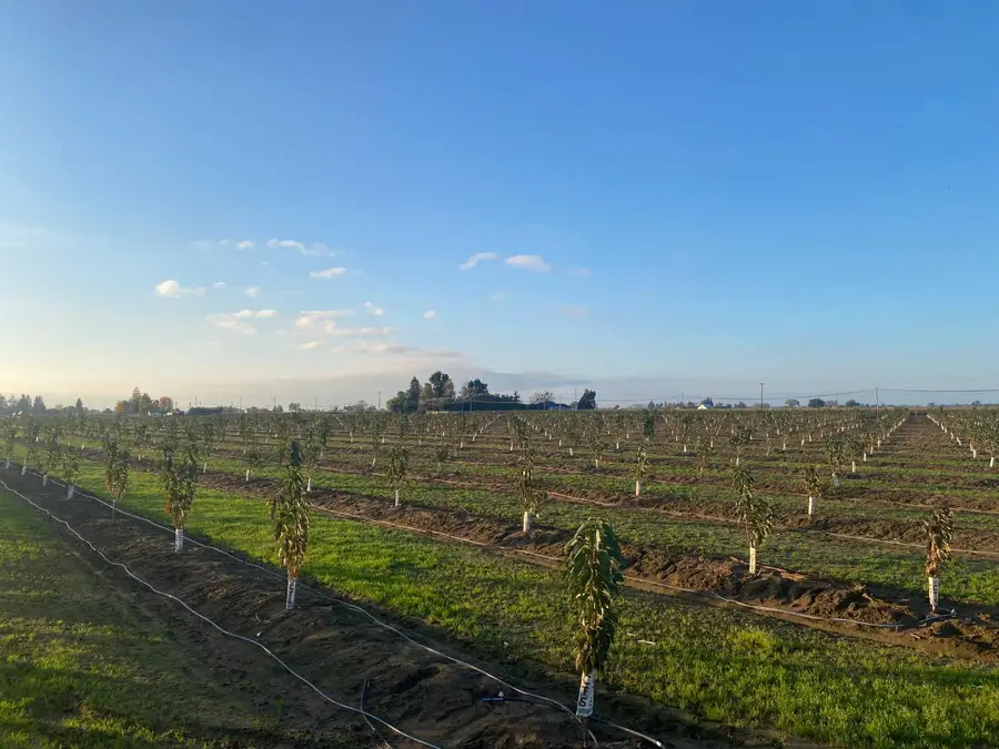 2060 W Woodbridge Road, Lodi, CA 95242 - Image #3