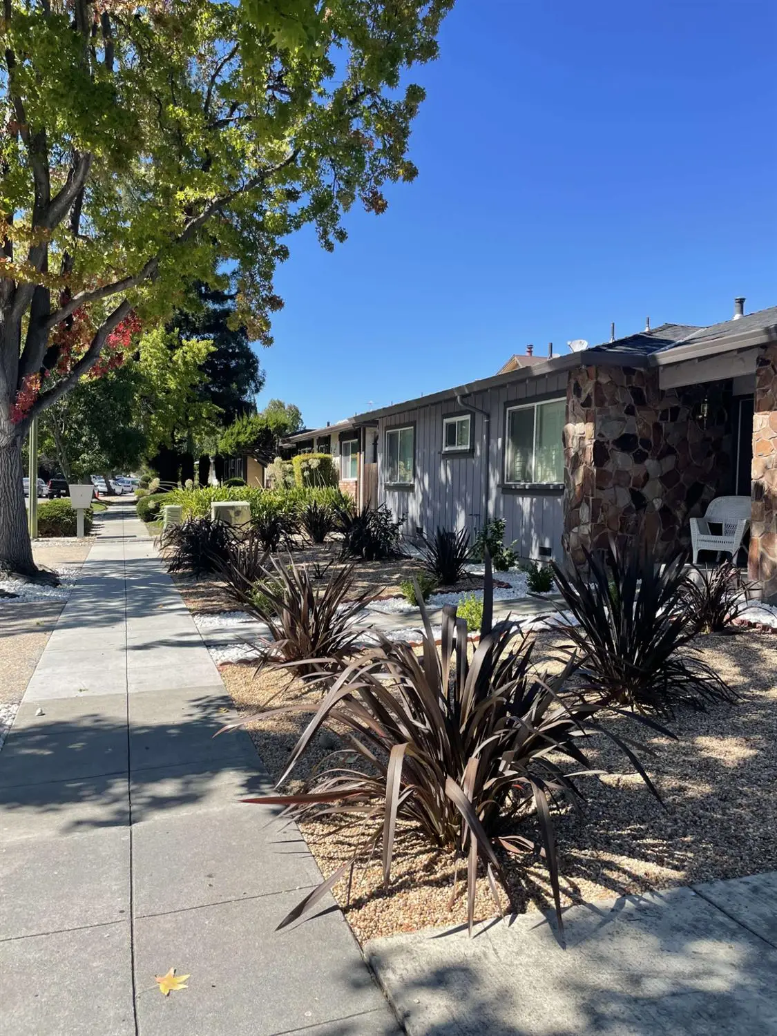 4361 Blackford Avenue, San Jose, CA 95129 - Image #1