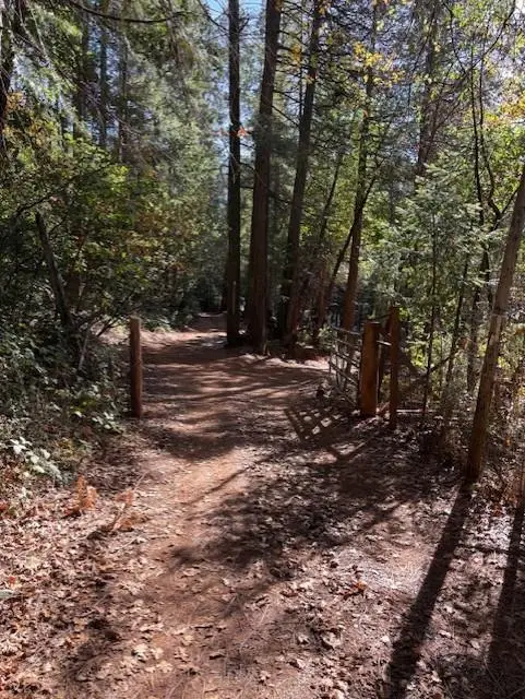 17537 Black Oak Way, Brownsville, CA 95919 - #3