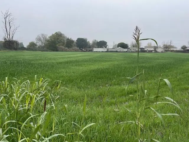 209 Clausen Road, Turlock, CA 95380 - Image #2