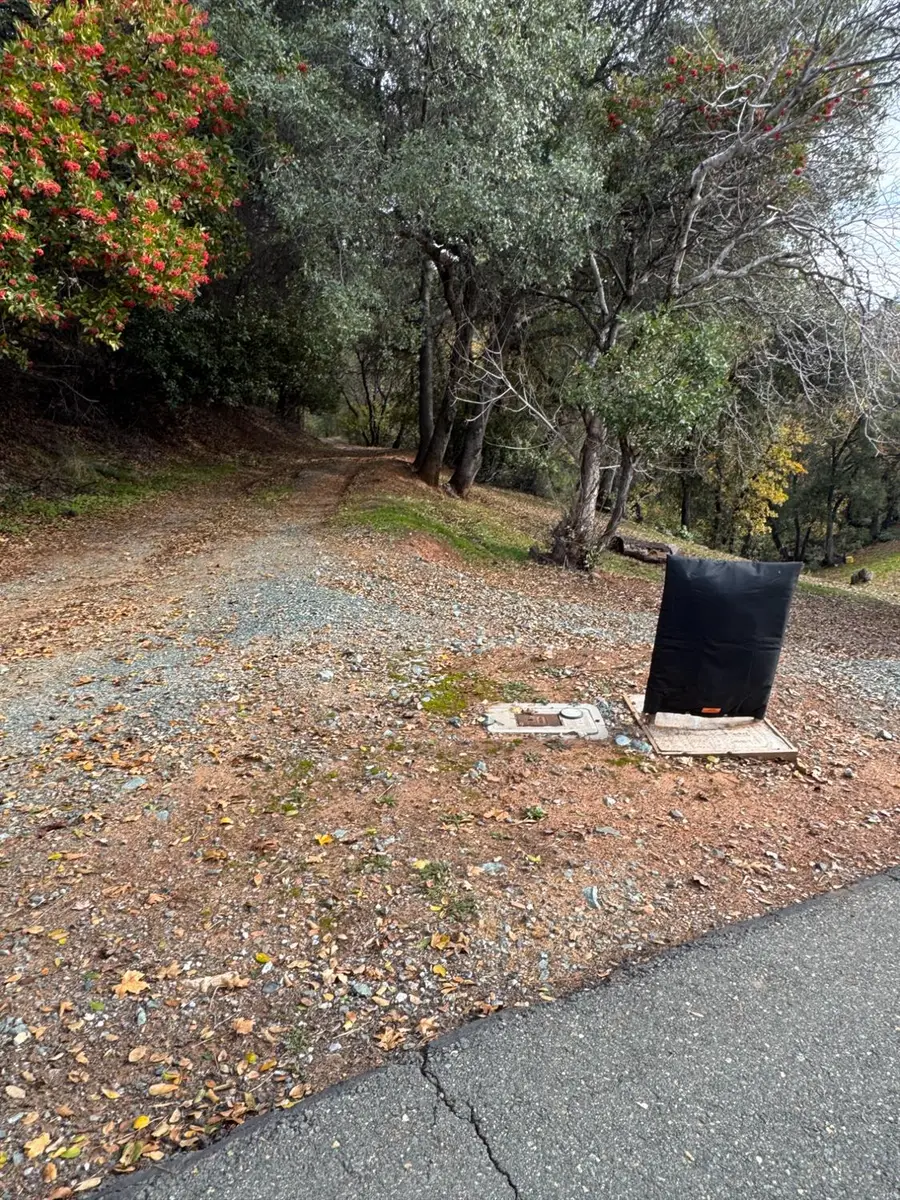 0 Bowman Road, Pine Grove, CA 95665 - Image #2