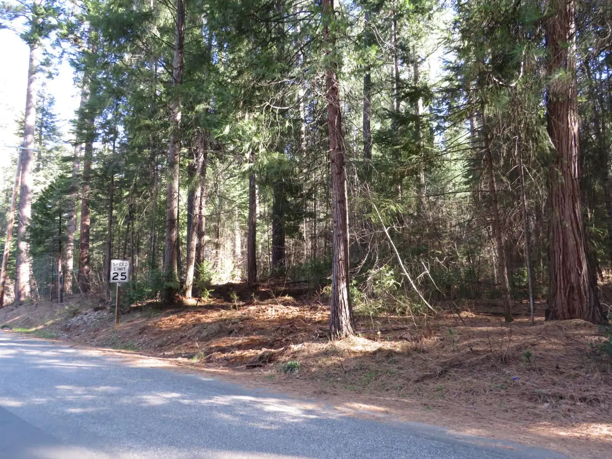 0 Alta Power House Road, Alta, CA 95701 - #1