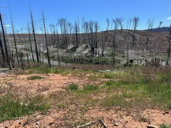 4963 Deertrack Court, Grizzly Flats, CA 95636