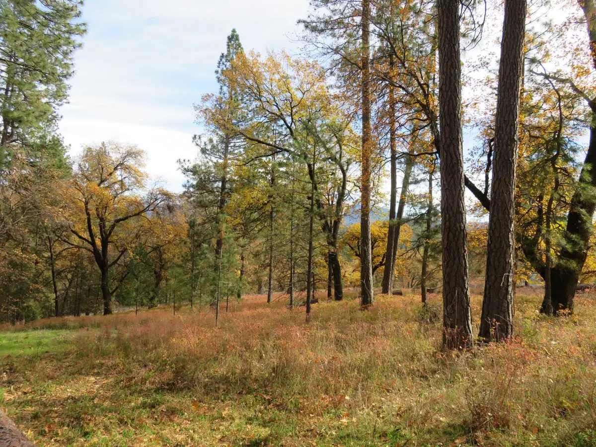 850 Barbara Lane, West Point, CA 95255 - Image #1