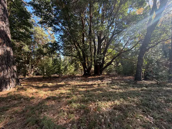 17686 S Mace Drive, Pioneer, CA 95666