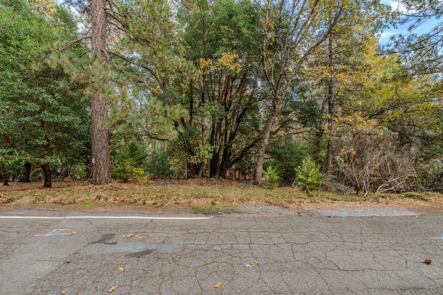 17686 S Mace Drive, Pioneer, CA 95666 - Image #3