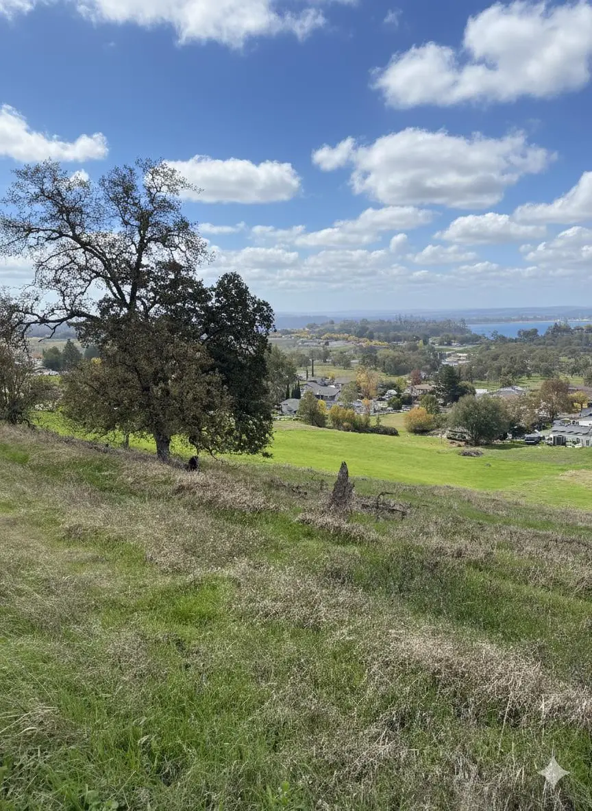 3996 Camanche Parkway, Ione, CA 95640 - Image #2