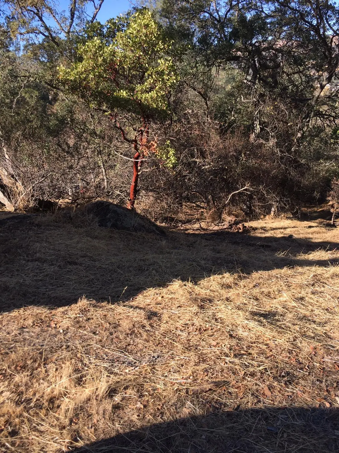 4983 Pueblo Tr, Copperopolis, CA 95228 - Image #1