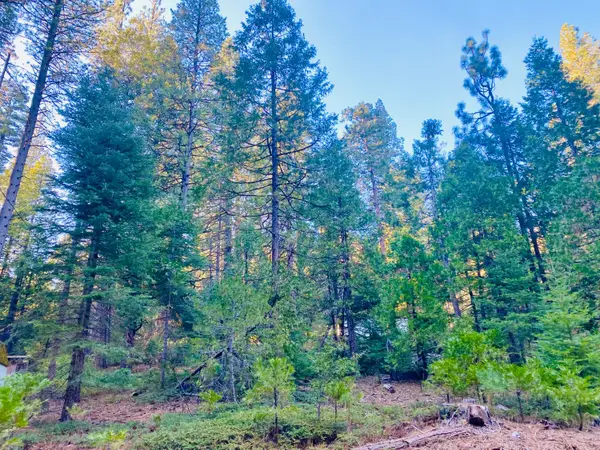 1557 Lily Valley Cir., West Point, CA 95255