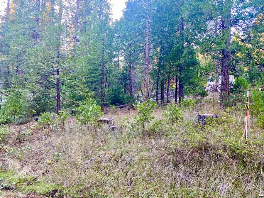 1557 Lily Valley Cir., West Point, CA 95255 - Image #2