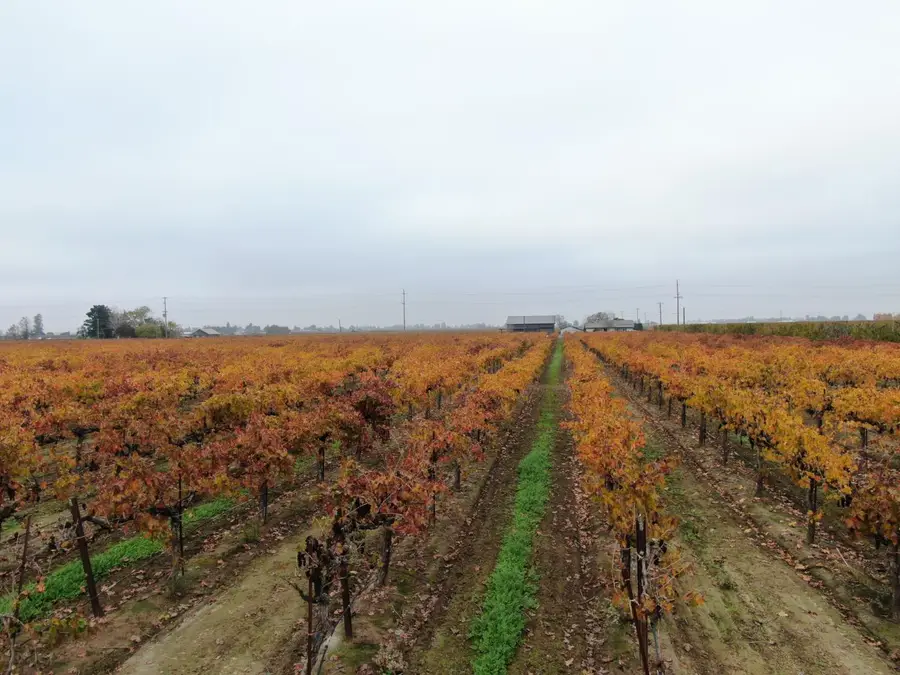 7782 E Harney Lane, Lodi, CA 95240 - Image #2