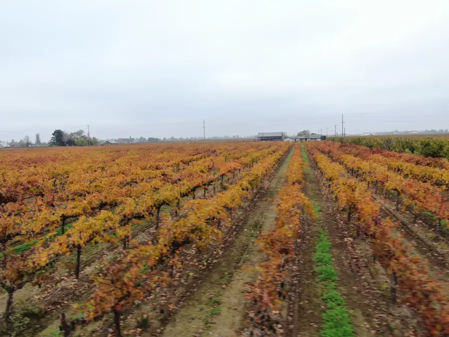 7782 E Harney Lane, Lodi, CA 95240 - Image #3