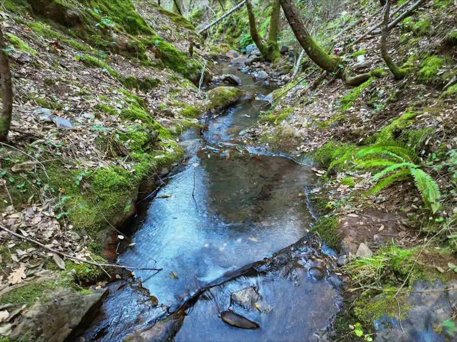 12050 Buckeye Road, Nevada City, CA 95959 - Image #2