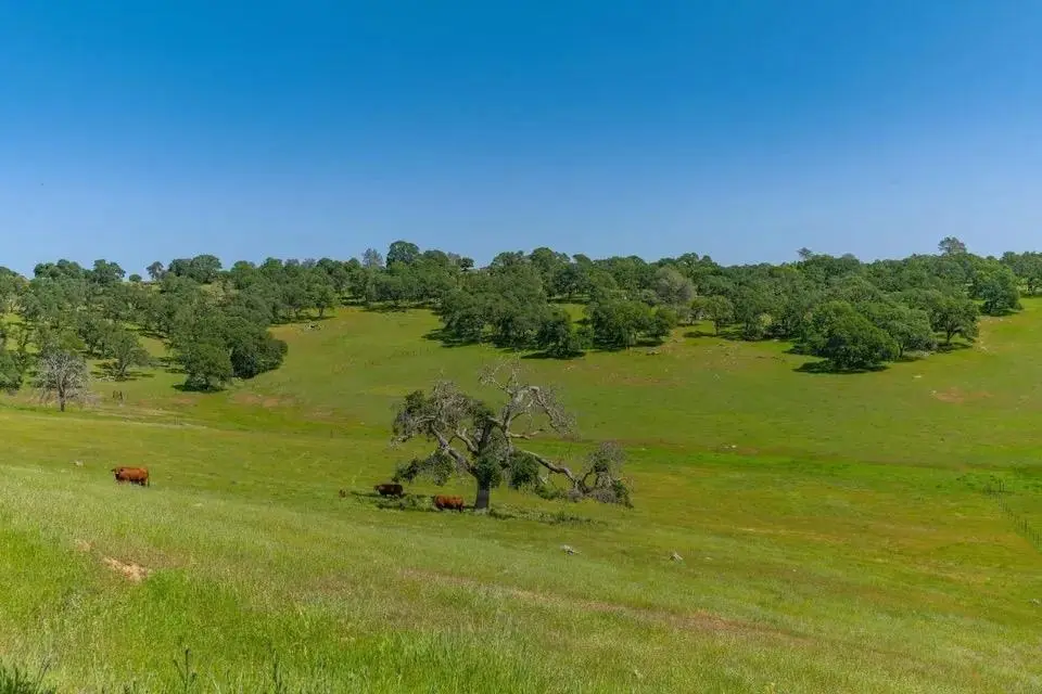 0 Mace Lane, Ione, CA 95640 - Image #1