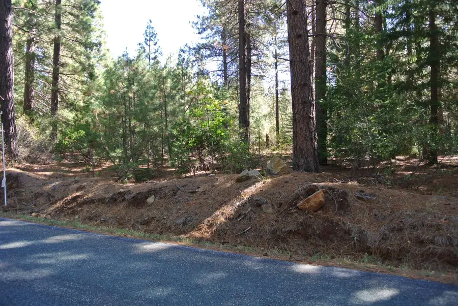 43 Foresthill Road, Foresthill, CA 95631 - Image #3