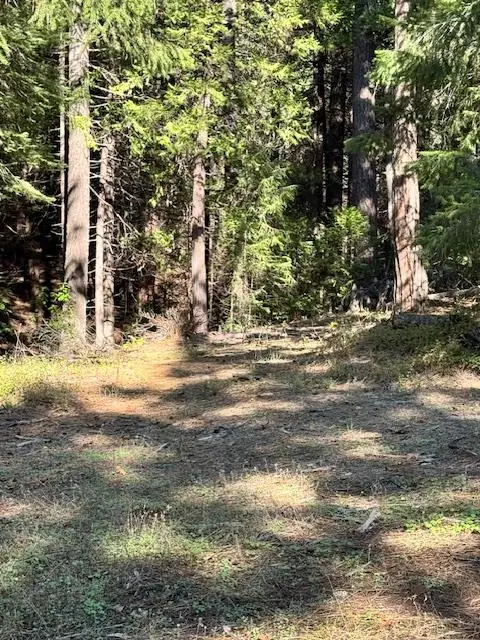 17630 E Antelope Drive E Drive, Pioneer, CA 95666